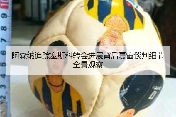 阿森纳追踪塞斯科转会进展背后夏窗谈判细节全景观察 | kaiyun